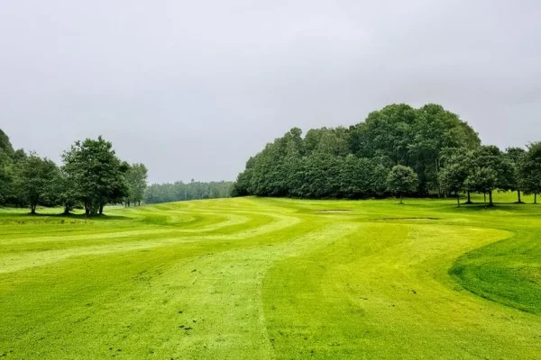 PGA巡回赛飞塔锦标赛袁也淳参赛与联邦快递杯保卡形势分析